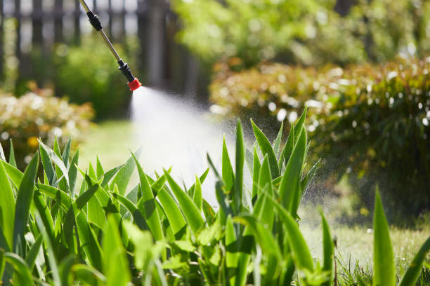 24/7 Emergency Ant Control experts in Griffin, GA